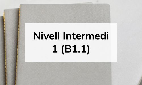 Nivell Intermedi 1 (B1.1)