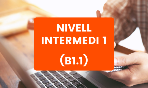 Nivell Intermedi 1 (B1.1)