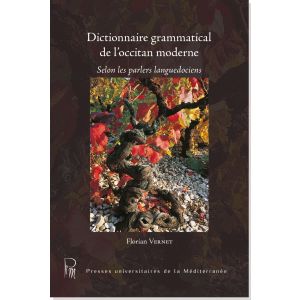Dictionnaire grammatical de l'occitan moderne
